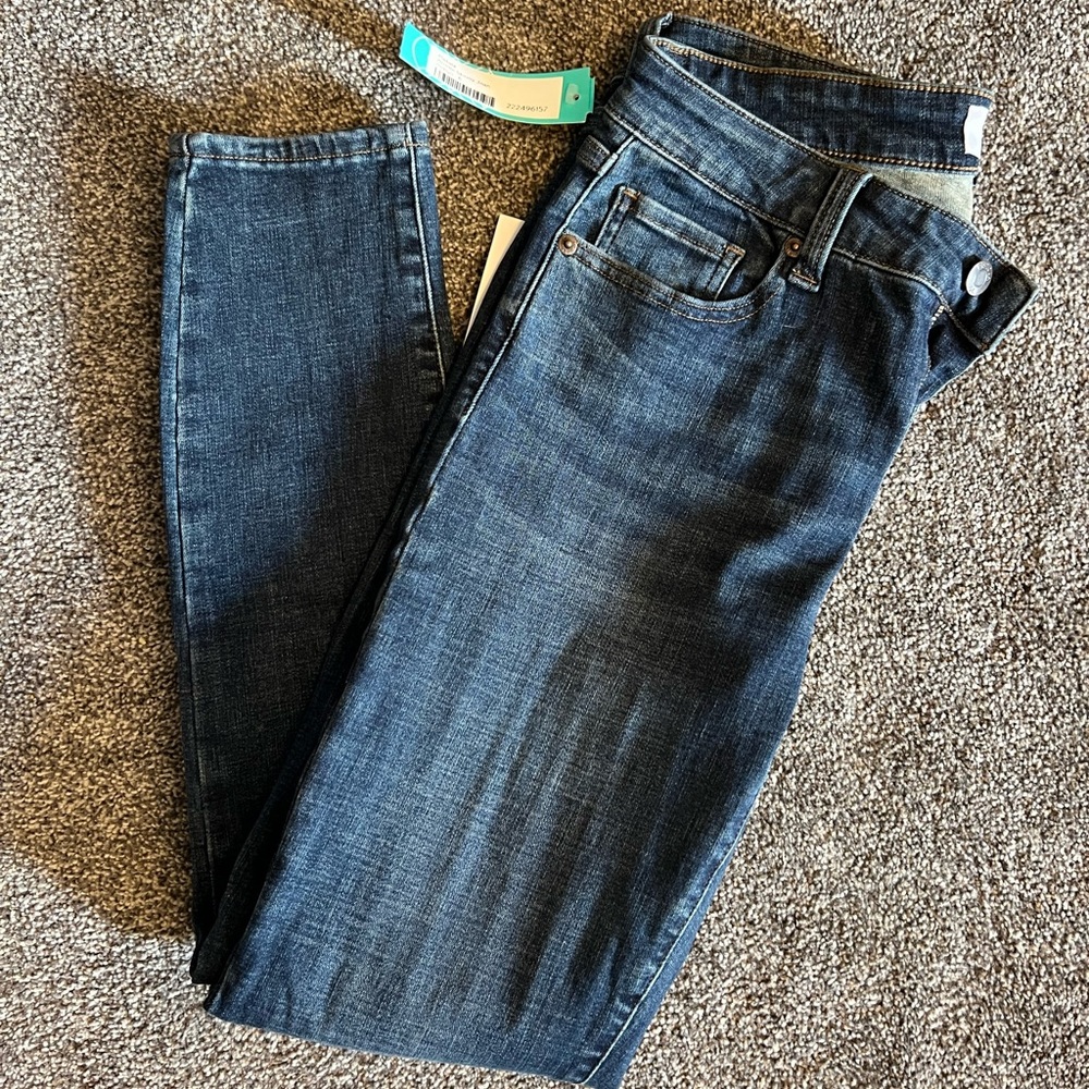 NWT Pistolla Arielle Skinny Jean from Stitch Fix size 28